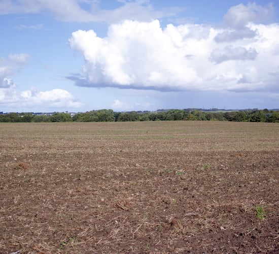 Met Éireann: Dunsany, Co. Meath had driest March in 61 years