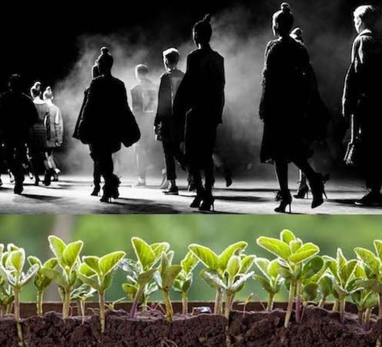 Kinsale gears up for Fashion &amp; Farming Festival