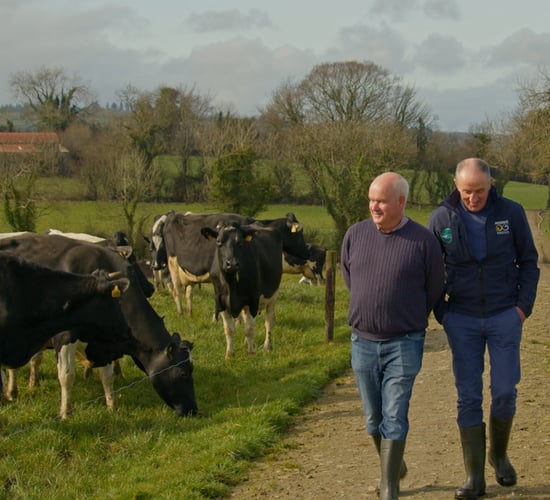 Watch: Cows producing 500kg of solids &amp; quality beef calves in Donegal