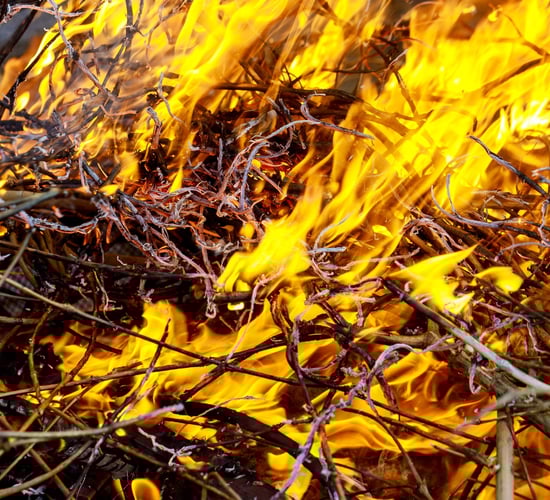 'Stop before someone is injured or killed' - Muir on wildfires