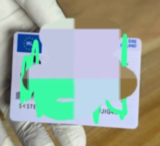 Gardaí warn of driving licence fraudster selling €680 counterfeits