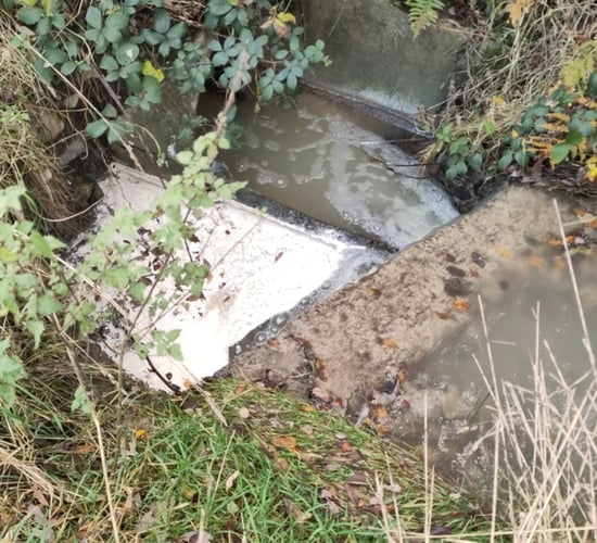 Co-op to pay €15,000 in legal costs following river 'pollution' incident