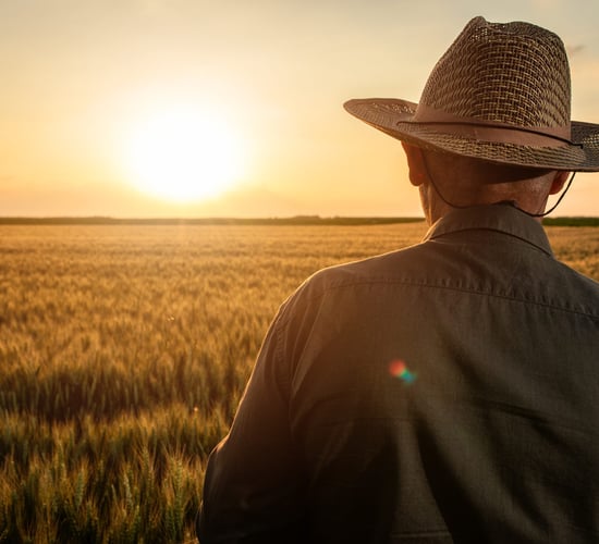 TD: Forgotten Farmer scheme 'excludes many it was meant to help'