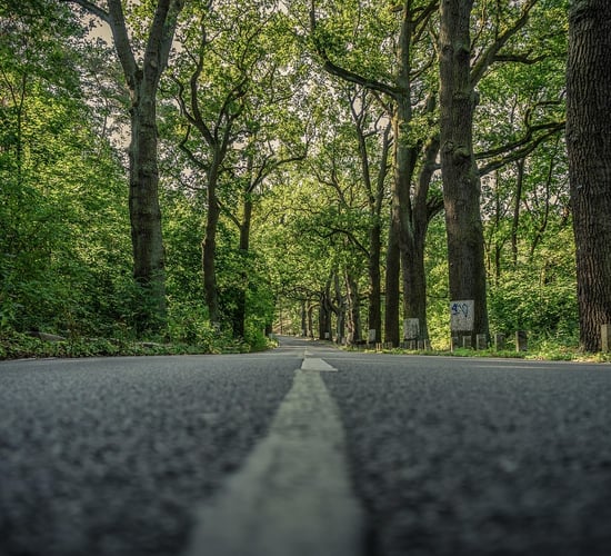 Collins: Rural transport prices leaving users 'out of pocket'