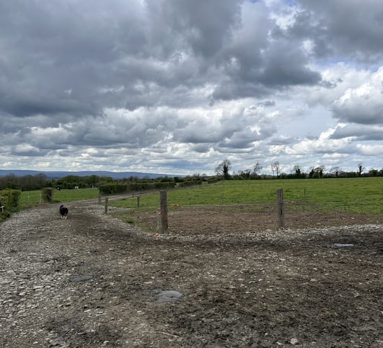 Roadways and surfaces need to be maintained ahead of breeding