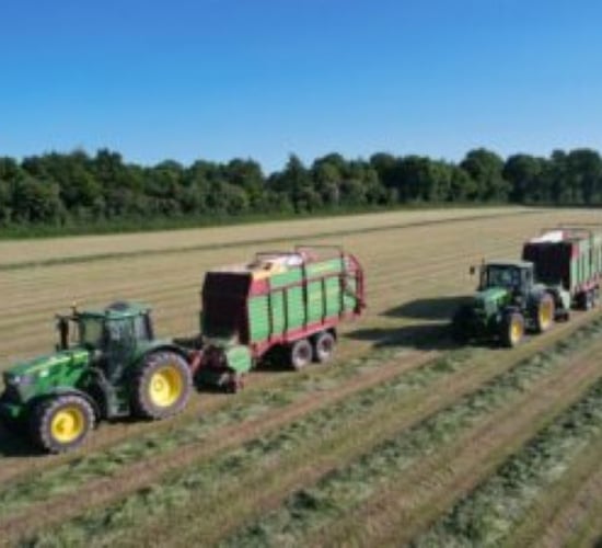 How to achieve a 75-80% DMD silage for your winter milking herd