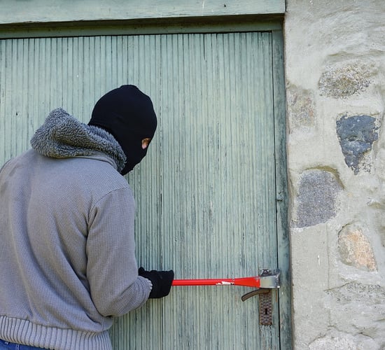 9% drop in cost of rural crime in Northern Ireland in 2024