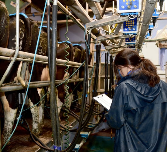Next phase of €26.2m VistaMilk Research Ireland Centre launched