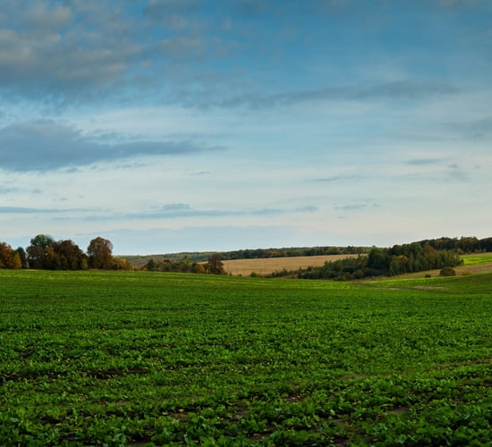 What will the Climate Action Plan 2025 mean for farmers?