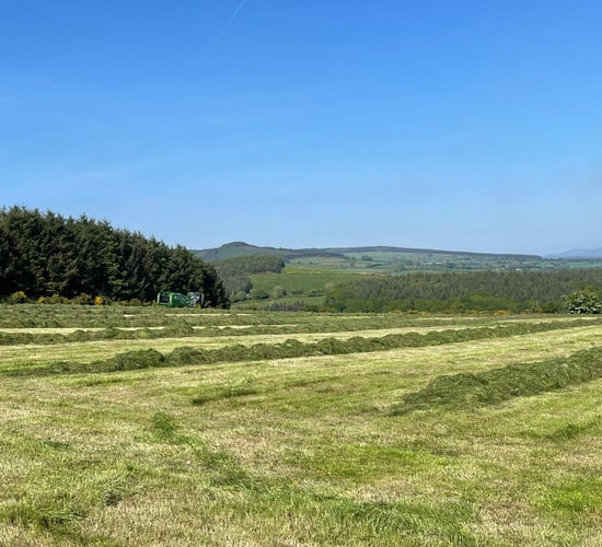 ABP Demo Farm: Silage, calf weaning and cattle weights
