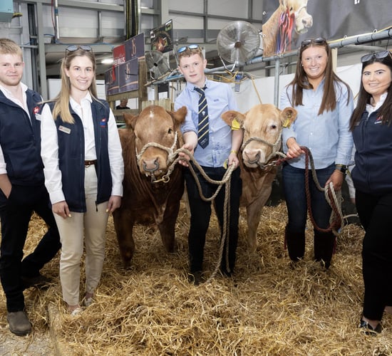 ABP Angus Youth Challenge celebrates success at Balmoral