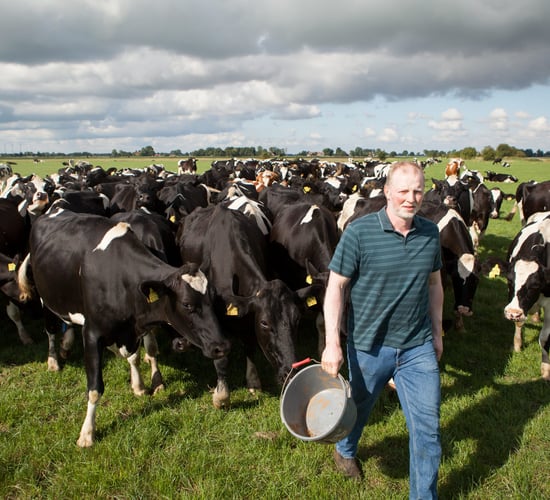 Focus: German dairy farm staying connected to consumers