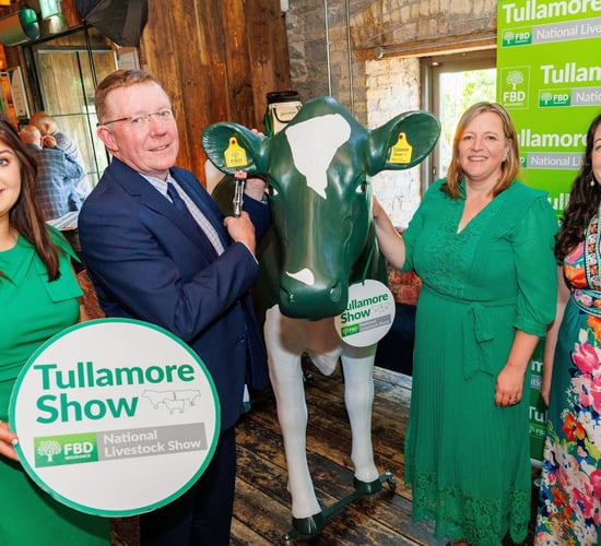 Tullamore Show launches schedule of classes for 2025