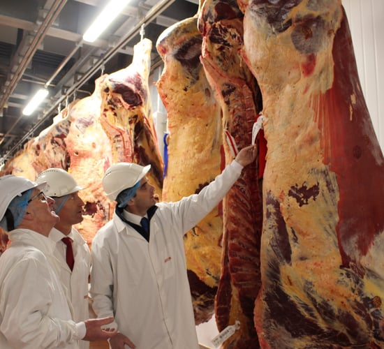 The hunt for the perfect carcass hits Co. Tipperary