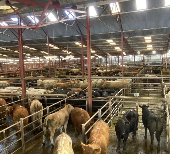 Summer mart sale numbers falling short of 2024 levels