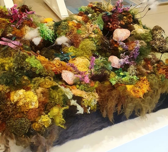 Irish Grown Wool Council 'bringing the bog' to Bloom