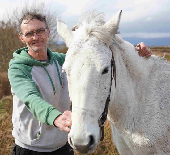TG4 series to probe the popularity of the Connemara pony