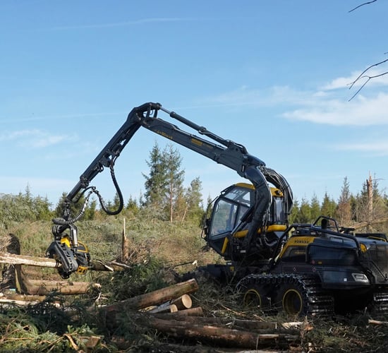 Timber demand to outstrip supply by 2050 - FII