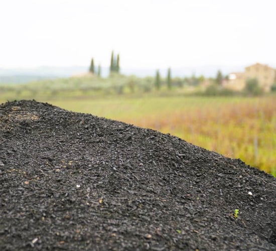 Is biochar the wonder fix for Irish soils?