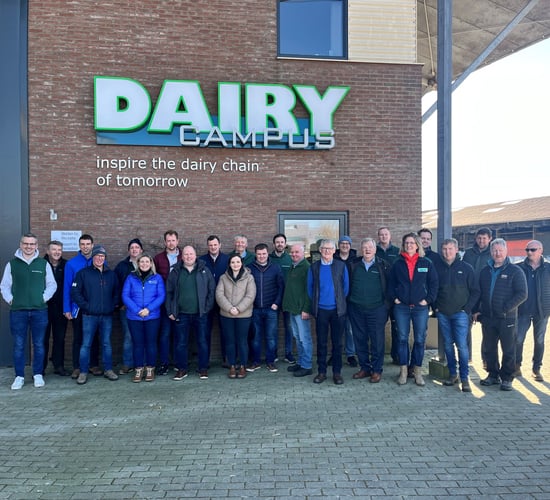 20 NI farmers visit The Netherlands to explore innovations