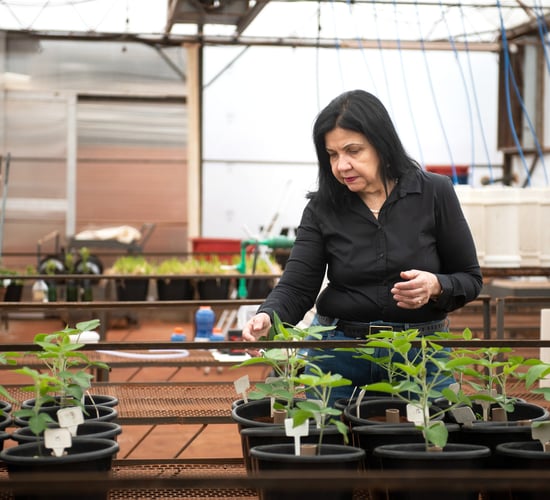 World Food Prize awarded to Brazilian microbiologist for soil bacteria work