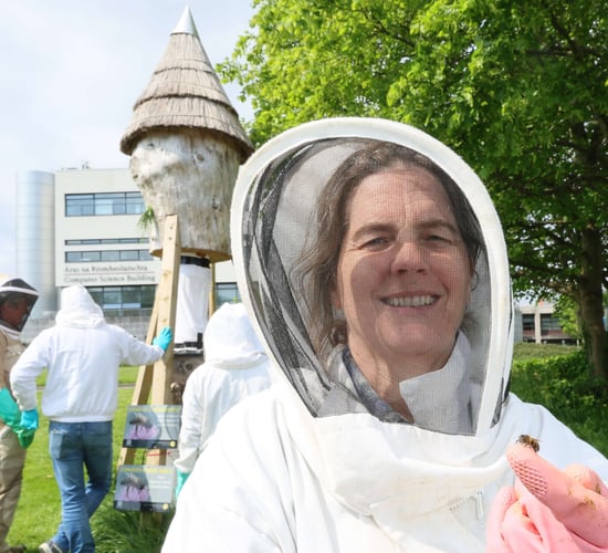 New project investigates survival of wild honey bees