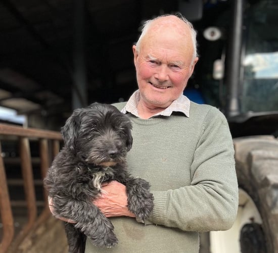 Finding missing Westie 'better than winning the lottery' for farmer