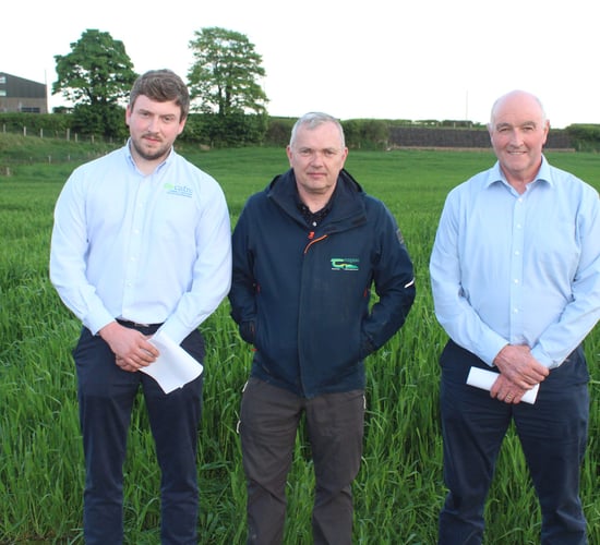 50:50 nitrogen fertiliser split best for oat crops - agronomist