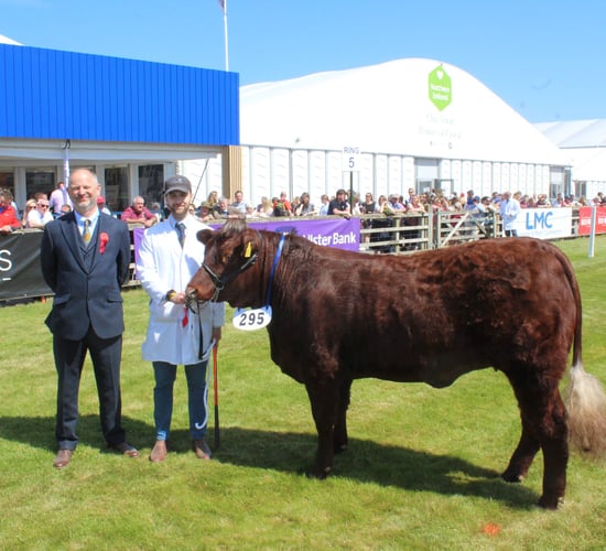 Balmoral Show: 'High standards' in stock across cattle classes