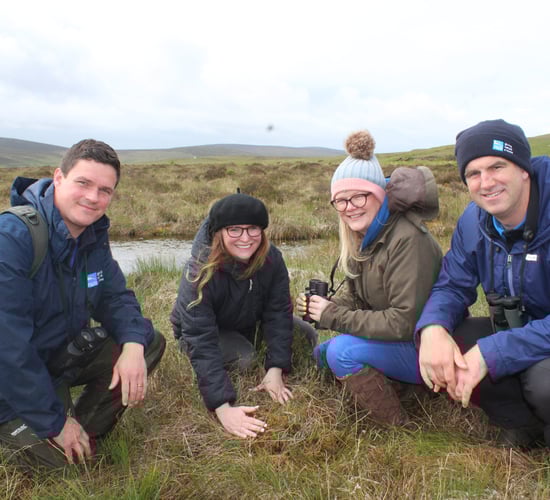 The importance of bog land restoration in NI highlighted