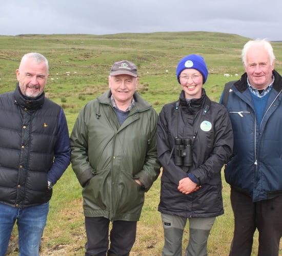 Concerns grow over re-wilding impact on land value in parts of Northern Ireland