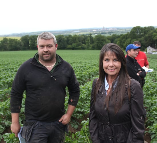 Threat of fungicide resistance within Irish blight populations remains