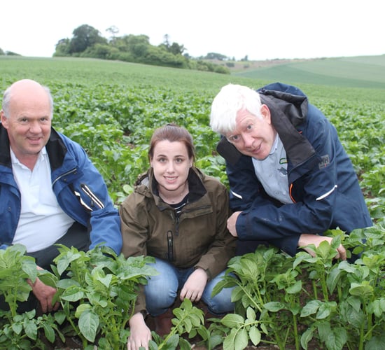 Growers discuss control of potato blight in Ireland