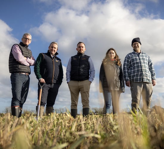 Irish Distillers partnership set to scale up regenerative farming