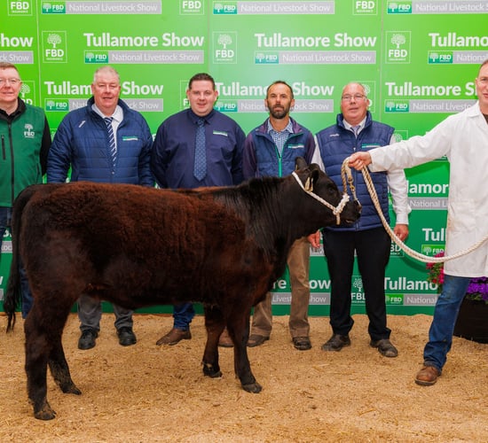 Young handlers' event marks launch of 2025 Tullamore Show