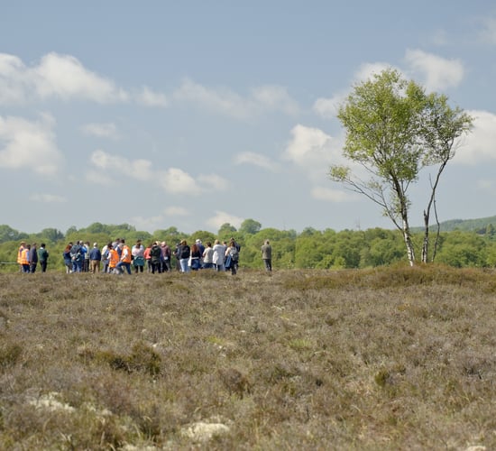 Watch: The transformation of peatlands on a farm in Co. Offaly