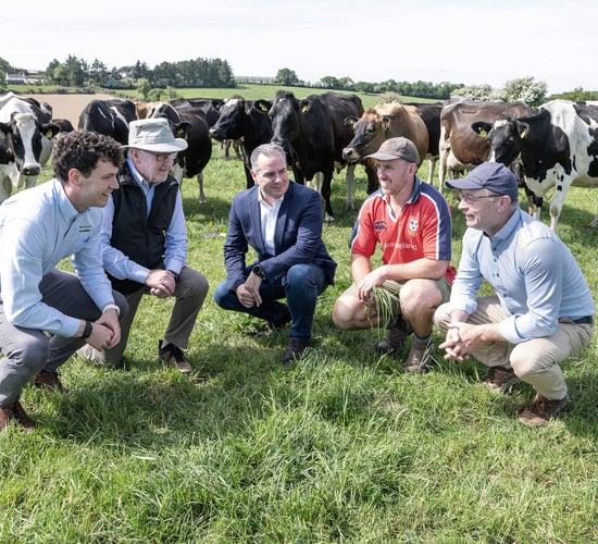 Watch: Share farming in practice on Gurteen Farm in Cork