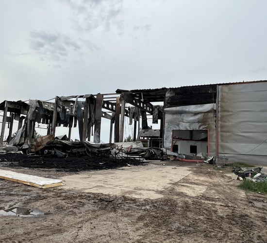 Video: Ukrainian Agri Council - cattle killed and farms destroyed