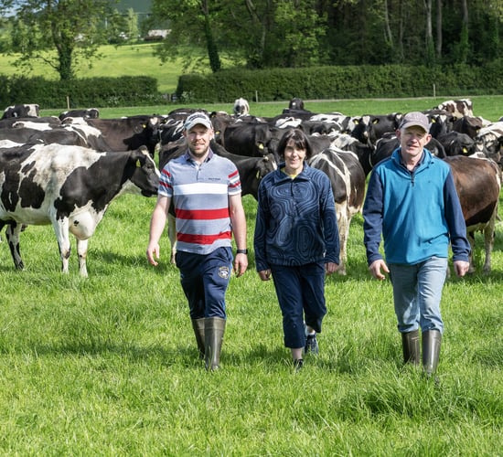 'Dairying at Dusk' evening walk to be held on award-winning farm