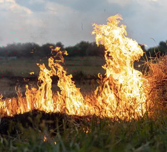 Orange warning issued for forest fire danger this weekend