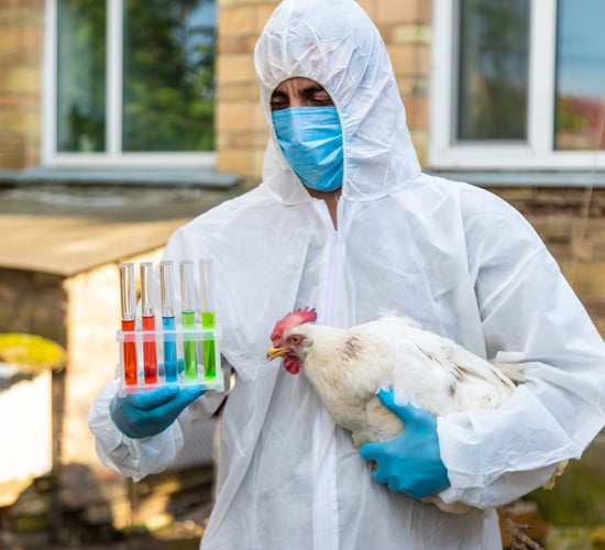 WOAH report: Infectious animal diseases affecting new areas and species