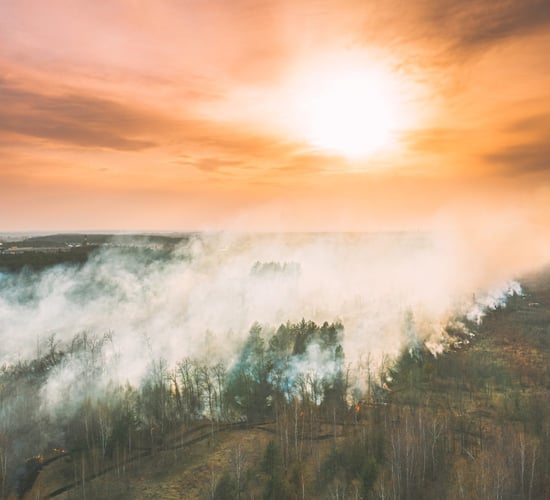 Crews bring Clare gorse and forestry fire under control