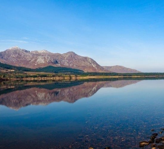 Permission granted for Coillte peatland redesign project