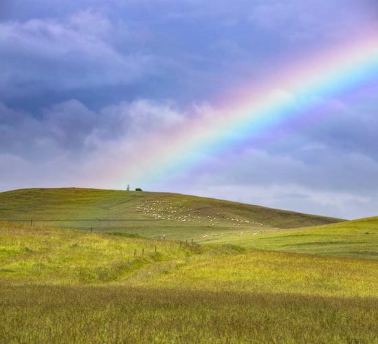 EPA: Agriculture GHG emissions down 1.7% in 2024