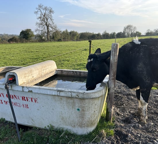 Are your troughs sufficient for the warm weather?