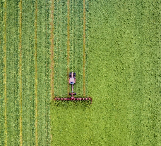 CSO: Fewer people worked in agriculture, forestry, fishing in Q1 2025