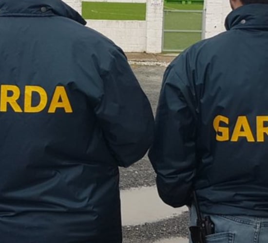 Man released from custody in Kerry farmer murder case