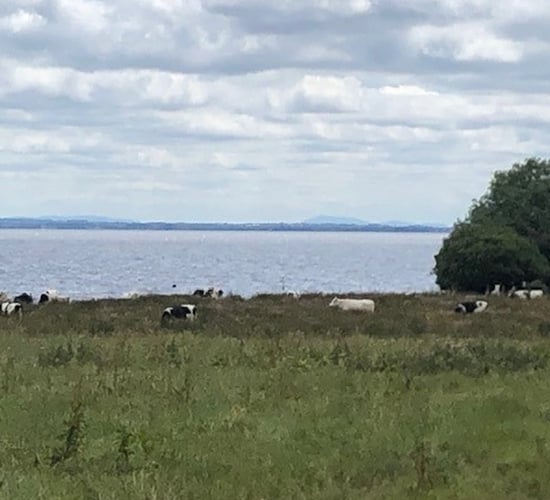 Farmers' concerns prompt extension to consultation in NI on NAP