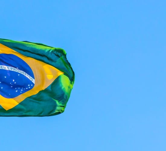 'It's important to take firm footing in Brazilian market' - EU spokesperson