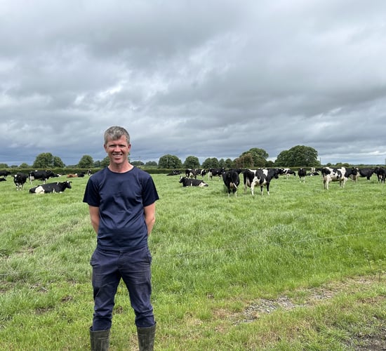 Dairy Focus: Keeping breeding simple but effective in Co. Tipperary